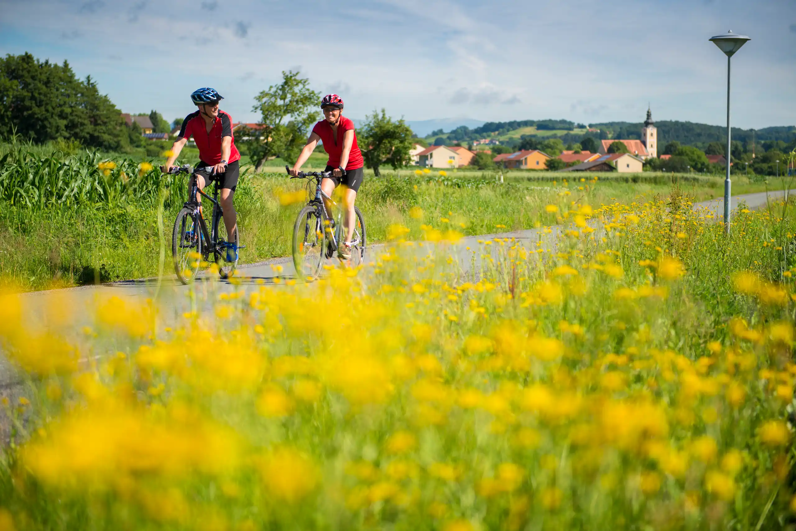 Header-Movement@Bergmann-9-